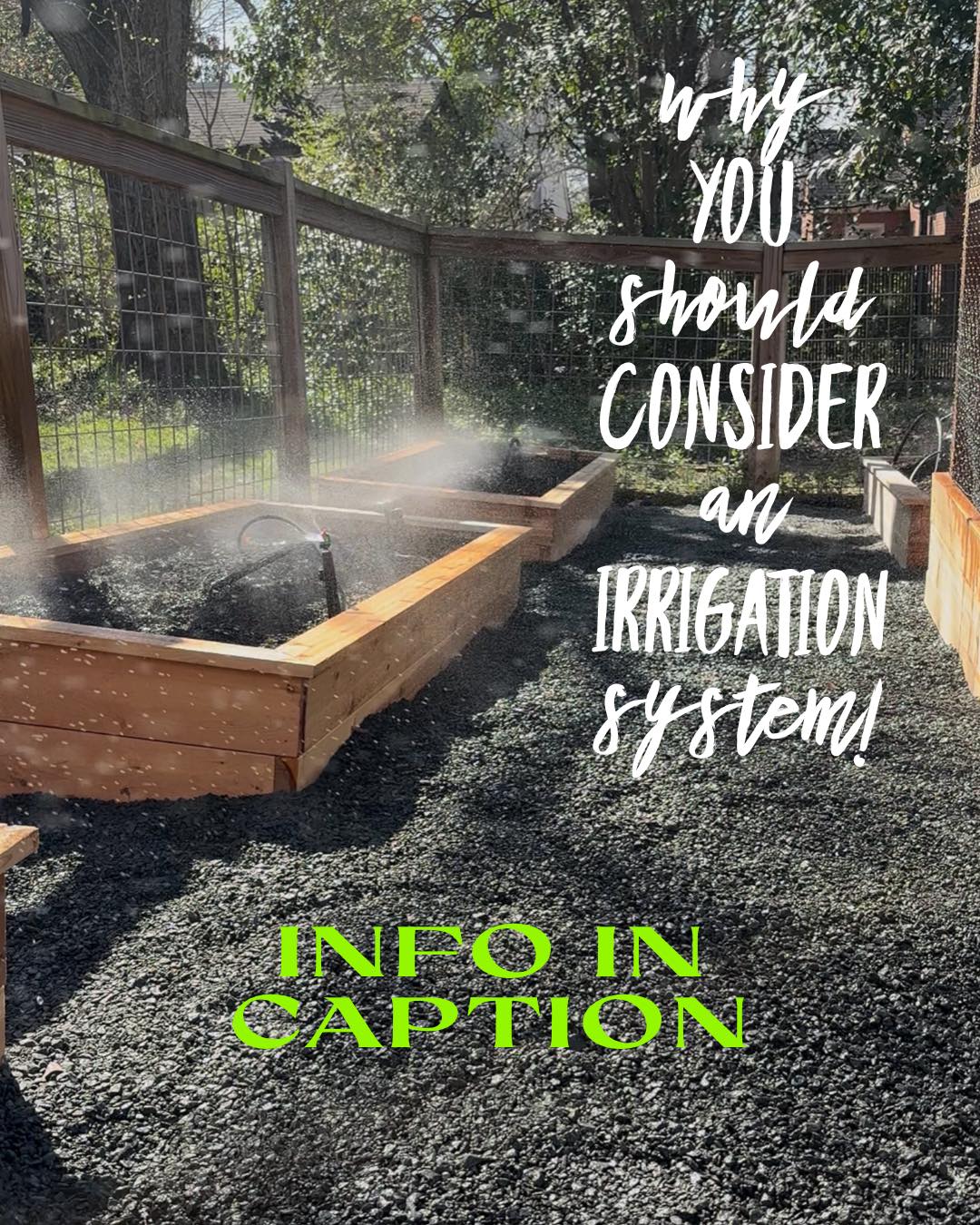 If you have some sort of irrigation system then great! Even if it’s an overhead sprinkler.
But if you don’t, don’t sleep on it. We have one in our garden and it brings so much peace of mind. Add a timer and we don’t have to worry if our plants got watered, especially if we go out of town during the hot summer months.
In our bio, there is a Linktree with links to the micro spray kit we have in our garden and the system we use in installs. There’s also the accessories like additional elbows/tees, timer, etc…
It may only cost you around $200-$300 bucks for the materials and it’s easy to install. Small price to pay for peace of mind to protect your gardening endeavors.
#bullcitygardens #bullcity #bullcitync #organicgardening #growyourown #durhamgrows #growfoodnotlawns #garden #vegetablegardening #kitchengarden #homegarden #homestead #familygarden #herbgarden #victorygarden #climategarden #durhamnc #northdurham #southdurham #chapelhillnc #carborronc #hillsboroughnc #raleighnc #ncgrown #apexnc #carync #researchtrianglepark #southerngarden #morrisvillenc #ncgardening