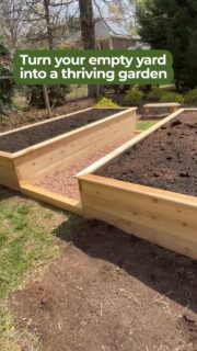 Ready to turn your empty yard green?

Here's how we transform open spaces into thriving vegetable gardens:

- Assess your yard's sunlight and soil
- Design custom raised beds tailored to your space
- Build with quality materials like cedar
- Add compost and rich soil for growth
- Plant your favorite veggies and herbs
- Teach you how to care for your garden

Starting small or dreaming big, we'll guide you every step of the way. Reach out and let's create your perfect garden together!