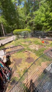 A beautiful property needs a beautiful garden! This makeover turned out awesome! Our client actually designed it, and we just made it happen! Loved how it turned out. 

What do you think?