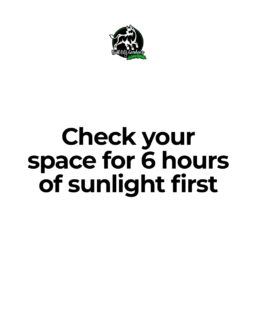 Thinking about starting a vegetable garden? First, check your outdoor space for these essentials:
- At least 6 hours of daily sunlight
- Well-draining soil that's loose and rich
- Enough space for your favorite veggies to grow
- Easy access to water
If your space ticks these boxes, you're ready to dig in and grow! Need help designing your perfect garden? Reach out to Bull City Gardens today—we'll make your garden dreams a reality.