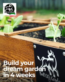 Starting a garden installation might seem overwhelming, but it's really about a few simple steps:
- Planning your space and choosing the right plants
- Building raised beds or garden structures
- Setting up irrigation for easy watering
- Adding quality soil and compost
Most installs take about 3-4 weeks from start to finish. Ready to make your gardening dreams real? Reach out today and let's start planning your personalized vegetable garden!