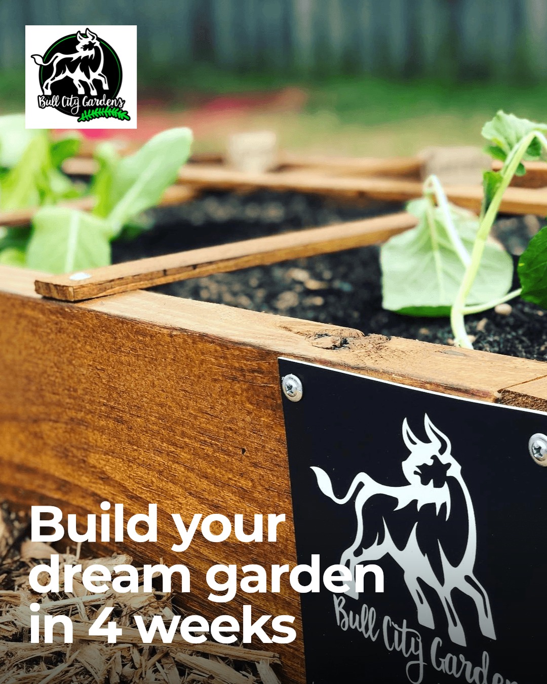 Starting a garden installation might seem overwhelming, but it's really about a few simple steps:
- Planning your space and choosing the right plants
- Building raised beds or garden structures
- Setting up irrigation for easy watering
- Adding quality soil and compost
Most installs take about 3-4 weeks from start to finish. Ready to make your gardening dreams real? Reach out today and let's start planning your personalized vegetable garden!