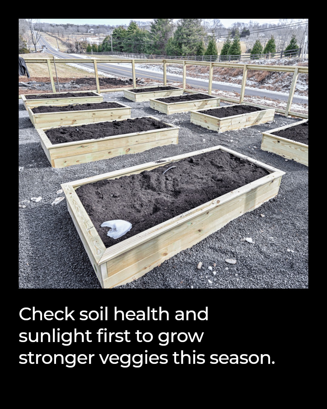 Ready to add summer crops to your garden?

Before planting, check your soil's health, clear out any leftover debris, and make sure your bed gets enough sun. Proper prep means stronger, happier plants all season long.

What summer veggies are you excited to grow this year?

https://Bullcitygardens.com