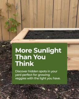Not enough sun for veggies?
A lot of yards can still support more than you think. The key is noticing the space you already have and working with it, not against it.
If you’ve got a patch that gets decent light and room for a bed or container, you may be closer than you think.
Pick one spot and start there.
https://bullcitygardens.com