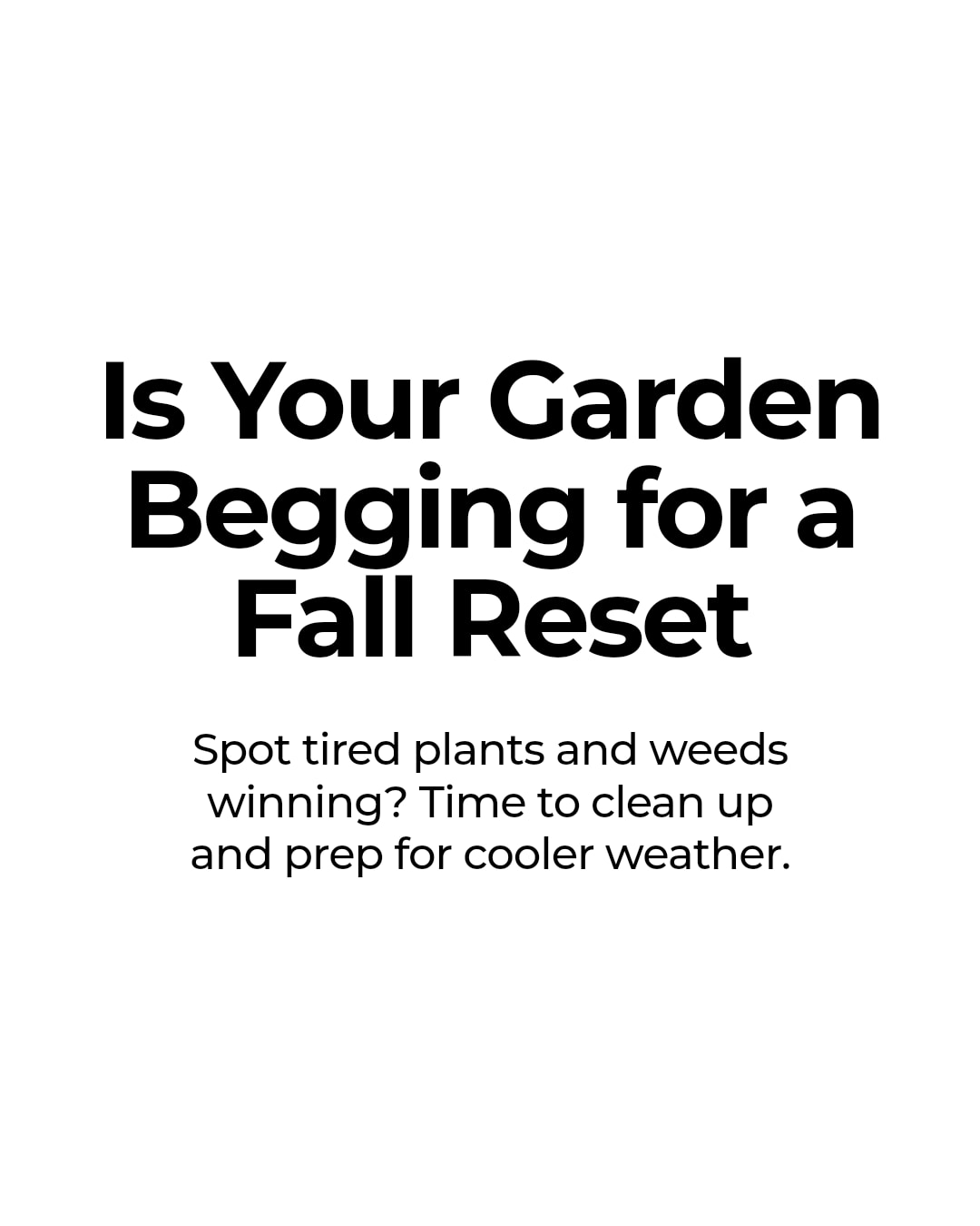 Your garden will tell you if it’s ready for a fall reset.
Look for tired growth, crowded beds, and plants that are starting to slow down.
If the weeds are winning and the soil looks worn out, that’s your cue to clean up, add compost, and make room for cooler weather planting.
A quick reset now makes fall feel a lot less chaotic.
Save this for your weekend garden check.
https://bullcitygardens.com