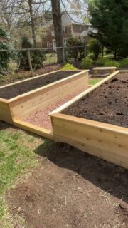 Raised beds make day one feel manageable.
Less bending. Less kneeling. More time growing.
That small change in height can make the whole setup feel easier to keep up with, especially when you want gardening to fit real life.
Grow with us