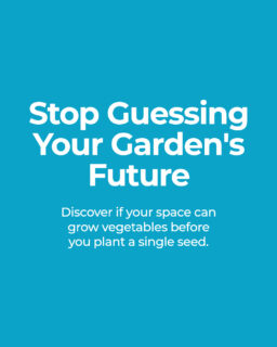 A garden consultation is where the guesswork starts to disappear.
We look at your goals, budget, style, and the space itself, so the plan fits your property instead of fighting it.
We also take measurements, check that the area can actually support vegetables, and answer your questions before anything gets scheduled.
Book a consultation.
https://bullcitygardens.com