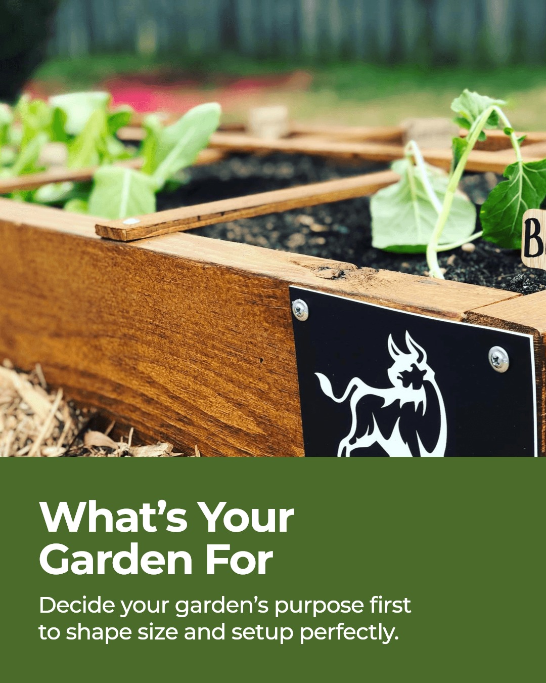 Before you start a homestead-style growing space, think through the part most people skip: what you actually want it to do.

Do you want fresh meals, food to preserve, or a simple first step into homesteading? That answer changes the size, layout, and support you’ll need.

Many homesteaders start small and build up. A herb garden, a small vegetable patch, or a bigger setup with chickens can all be a solid beginning.

What’s your garden goal?