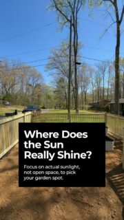 Which side gets the most sun?

Before you install a garden, that’s the first question to ask. The best spot depends on where real sunlight lands on your property, not where the space just looks open.

Start with south, then east, west, and north. If you’re unsure, a quick consult can save you from planting in the wrong place.

Schedule a consultation
