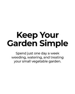 A vegetable garden can stay manageable even when your schedule gets busy.

Keep it small enough to maintain, not so big that it turns into a weekend project.

Pick one day each week and give it a simple routine: weed, treat, water.

If you want help planning a garden that fits your life, send us a DM.